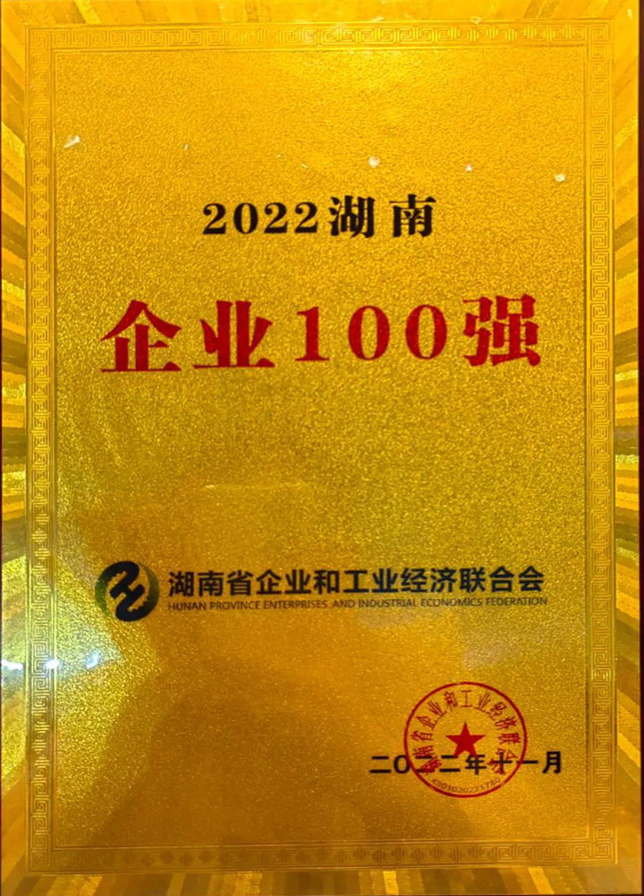 2022湖南企業(yè)100強