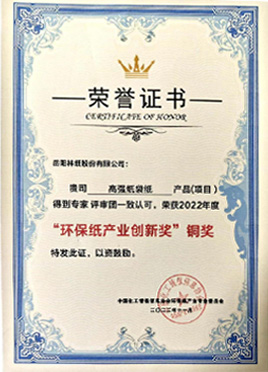 高強(qiáng)紙袋紙獲“環(huán)保紙產(chǎn)業(yè)創(chuàng)新獎(jiǎng)”銅獎(jiǎng)